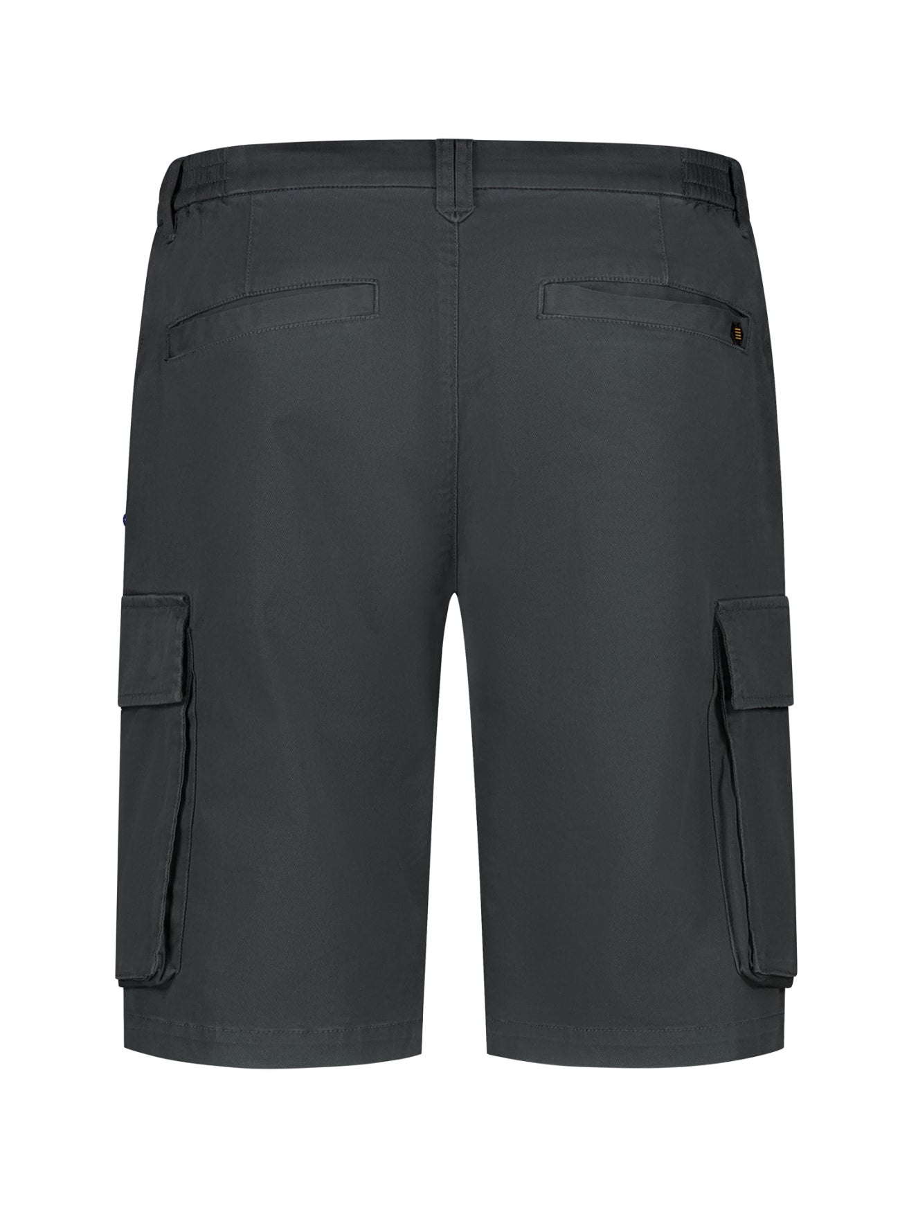 Cargo shorts with side pockets | Dark Steel