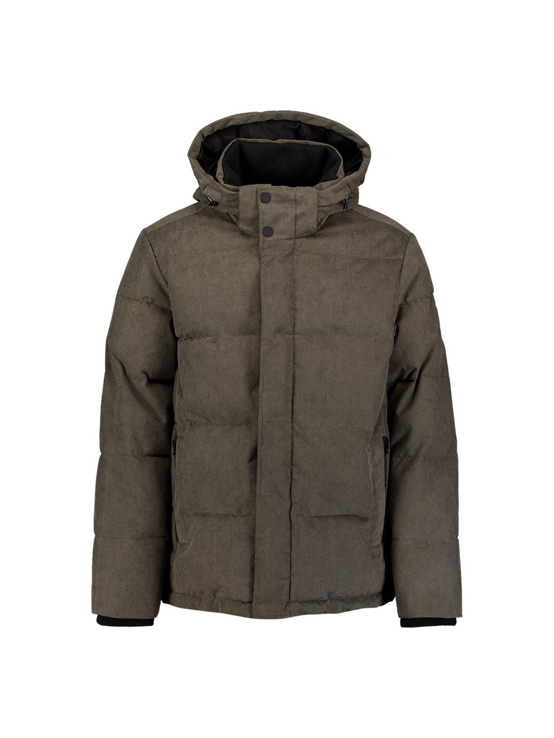 Veste à capuche en velours côtelé | Army